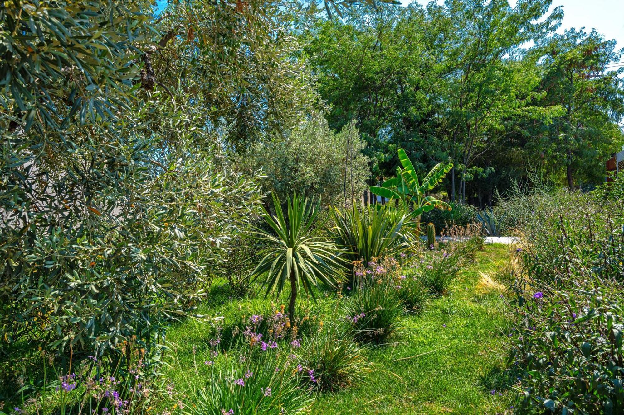 Utopia Eco Retreat Skiathos-Stadt Exterior foto